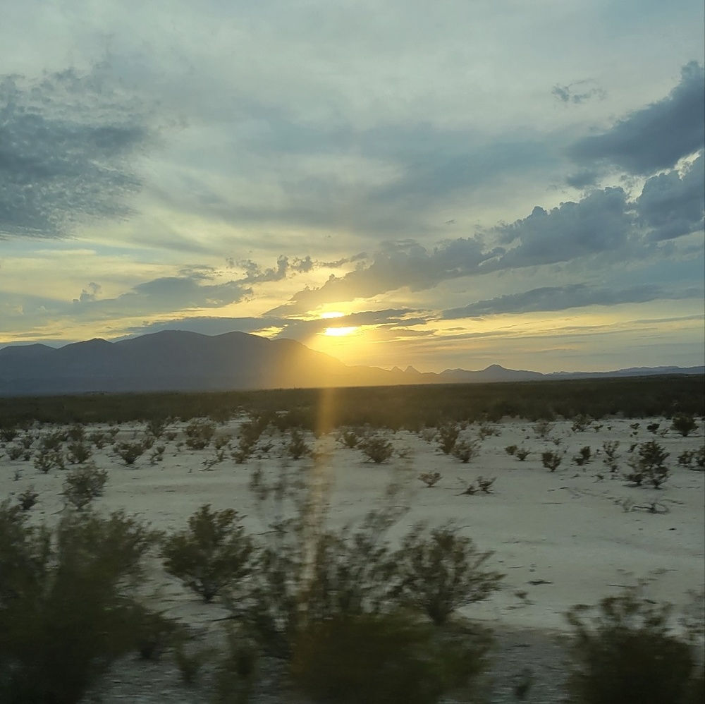 Meet your Posher, Ligia